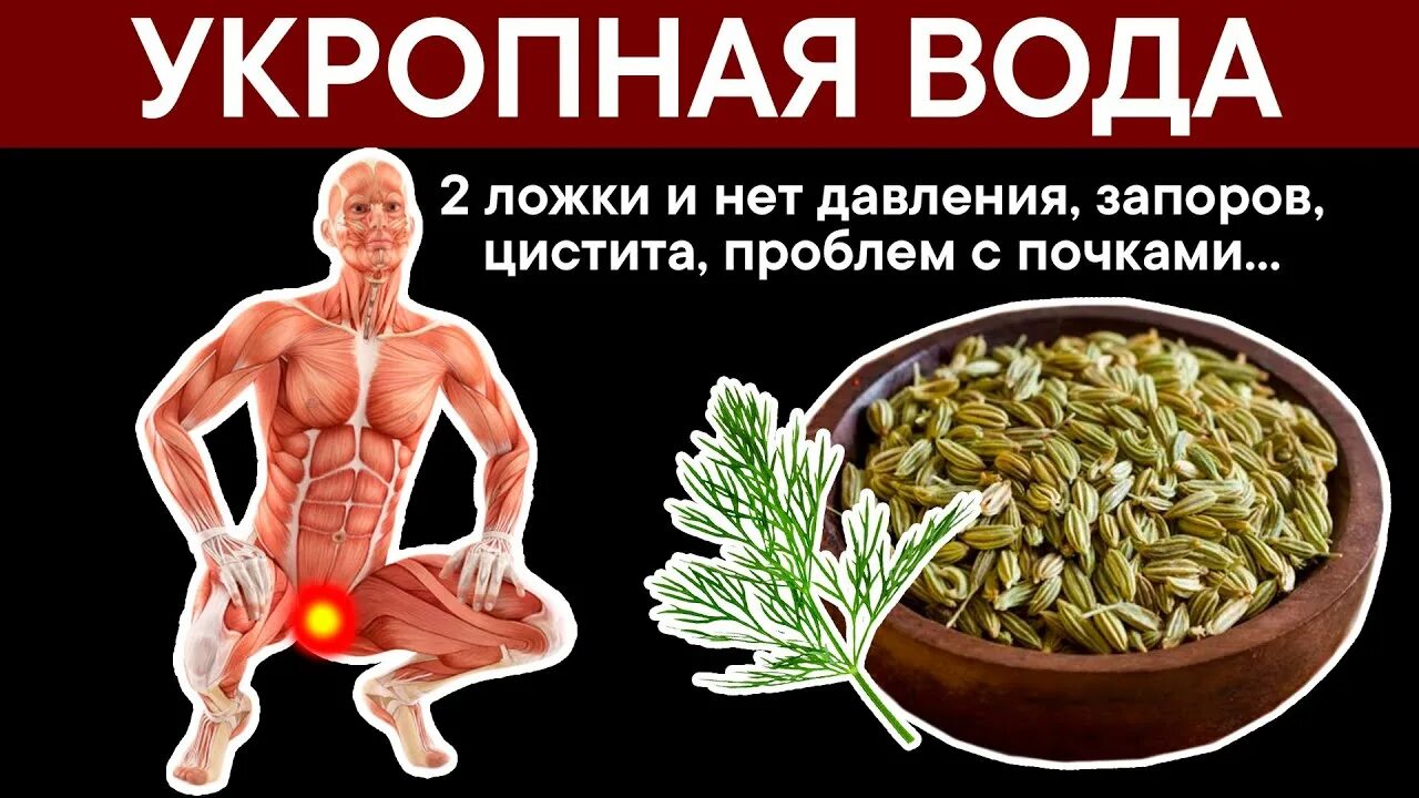 Колики от укропа. Укроп для почек. Семена укропа для почек. Семена укропа от почек. Семена укропа от цистита.