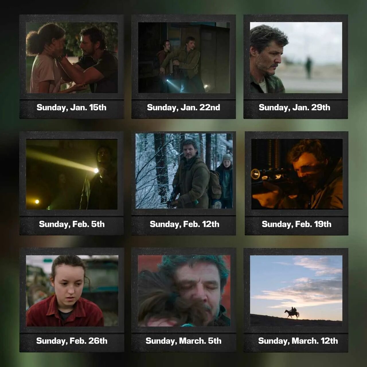 Бывшие 2025 дата выхода. The last of us сериал. the last of us сериал дата выхода серий. выход сериала the last of us. одни из нас график выхода серий.