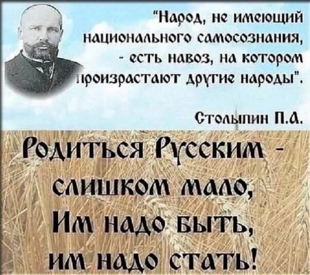 Есть навоз на котором произрастают другие народы. Народ навоз на котором произрастают другие народы. Произрастают другие народы. Народ не имеющий национального. Народ заслуживает то которое имеет