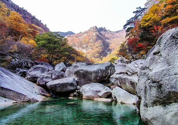 South Korean Leader Considers Letting Its Tourists Visit North Korea The New Y