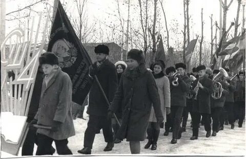 Ноябрь 1981 года