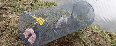 Верши для рыбалки своими руками