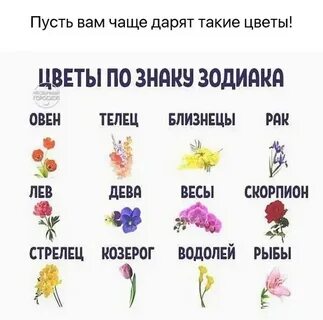Какие цветы подарить женщине скорпиону