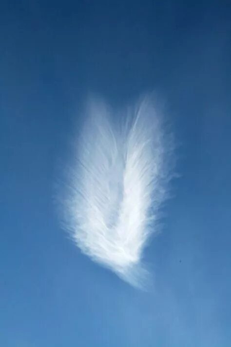 Top 23 Angel Clouds From Around The World - Jesus Daily in 2020 Angel clouds, An