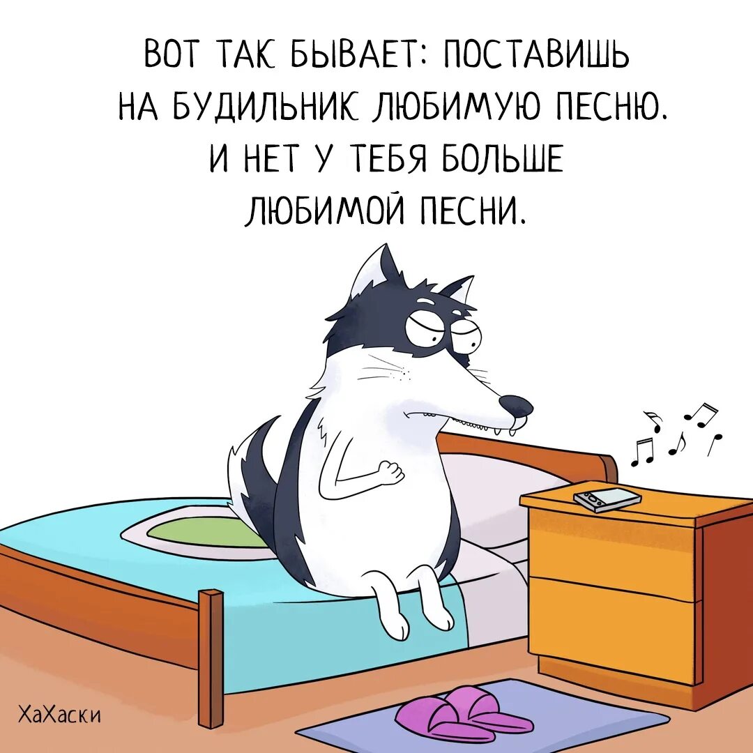 Какую нибудь любимую песню. Хахаски. хахаски утро. любимый будильник. поставишь любимую песню на будильник и нет больше любимой песни.