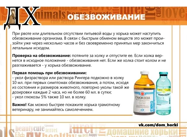 Ребенок 2 года рвота что делать