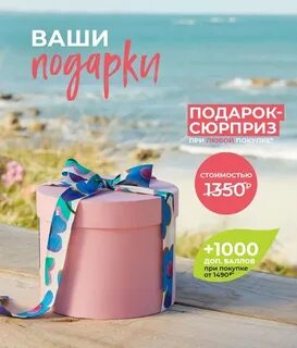 Листовка ив роше январь 2024