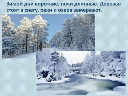 Дни короче ночи зимой