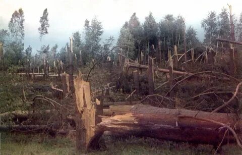 Июнь 1984 года