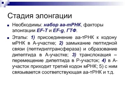 Трансляция рнк этапы