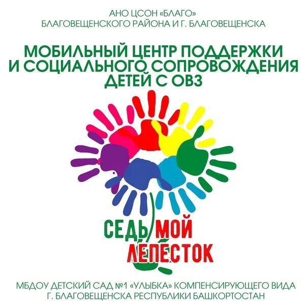 7 лепесток хай. Седьмой лепесток волонтеры. Благотворительный фонд седьмой лепесток. Логотип фонда седьмой лепесток. Волонтерская организация седьмой лепесток.