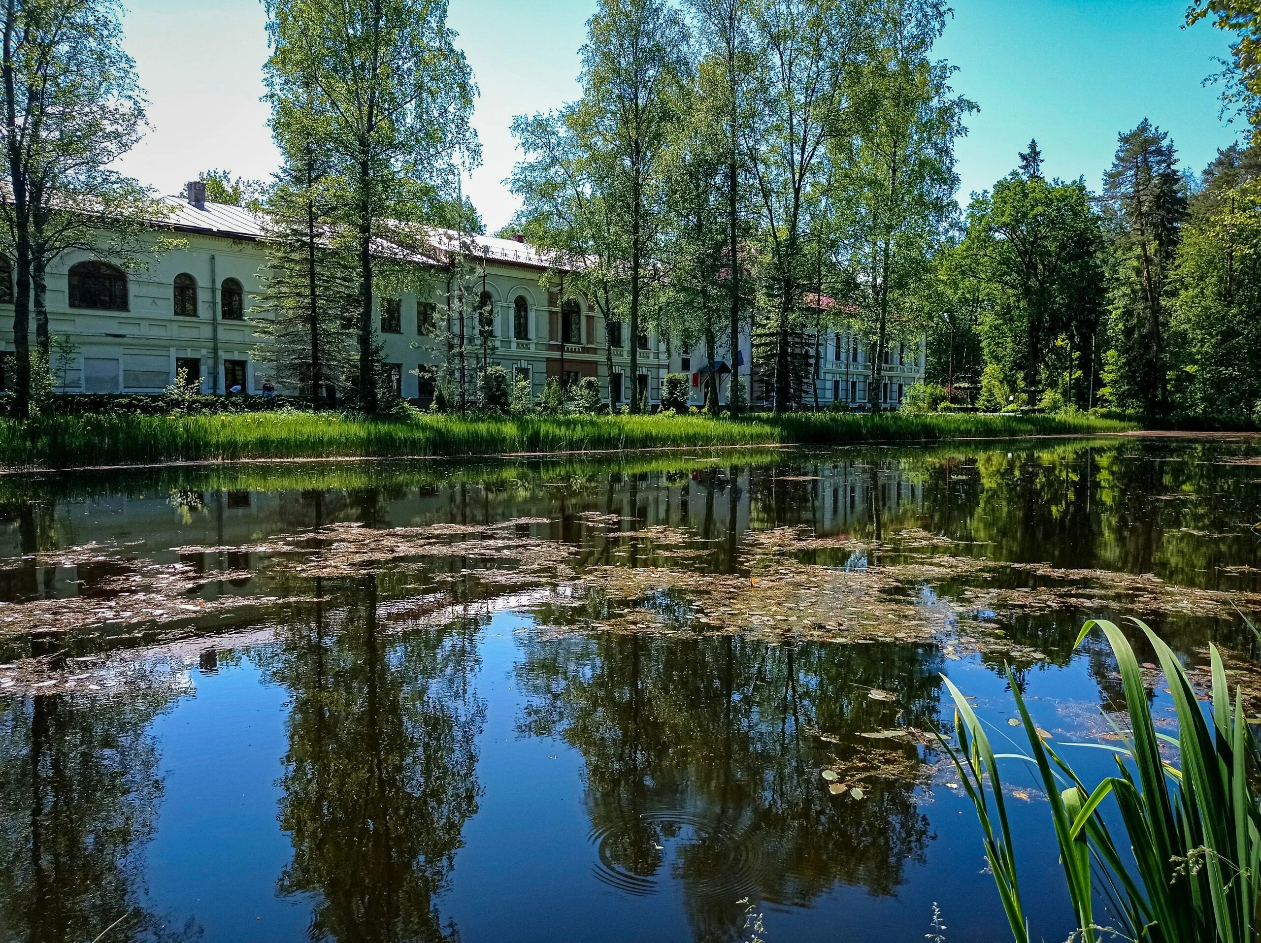 Тихменево рыбинский. Усадьба Тихменево. Усадьба Тихменево Рыбинск. Барская усадьба Лесной корпус. Колледж в Тихменево Рыбинск.