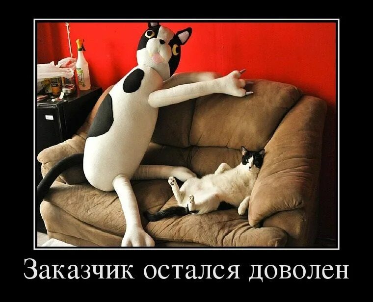 Не доволен как правильно. Кот демотиватор. заказчик доволен мемы. демотиваторы про клиентов. довольный кот демотиватор.