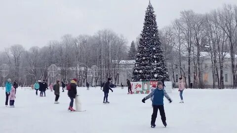 Каток на елагином