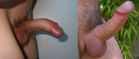 Not Erect Penis Porn.