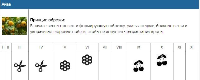 Обрезка деревьев по лунному календарю 2024. Календарь обрезки деревьев. Календарь обрезки плодовых деревьев. Календарь подрезки деревьев. Таблица обрезки деревьев.