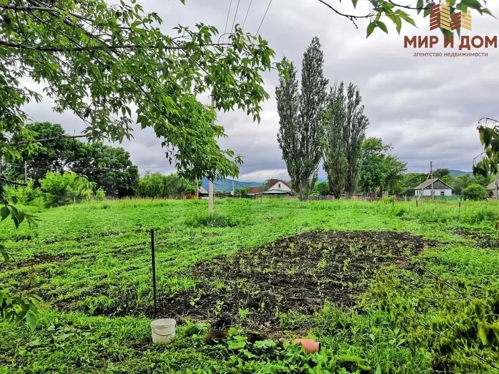 Перетино Приморский край Партизанский район. Перетино партизанского района. Сергеевка (Партизанский район). Школа Перетино Приморский край. Земля гончаров