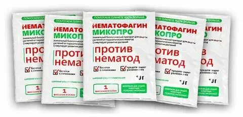 Нематофагин