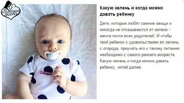 Когда можно давать зелень. Когда ребенку можно давать зелень. зелень с какого возраста можно давать ребенку. с какого возраста можно зелень ребенку. зелень с какого возраста детям давать.