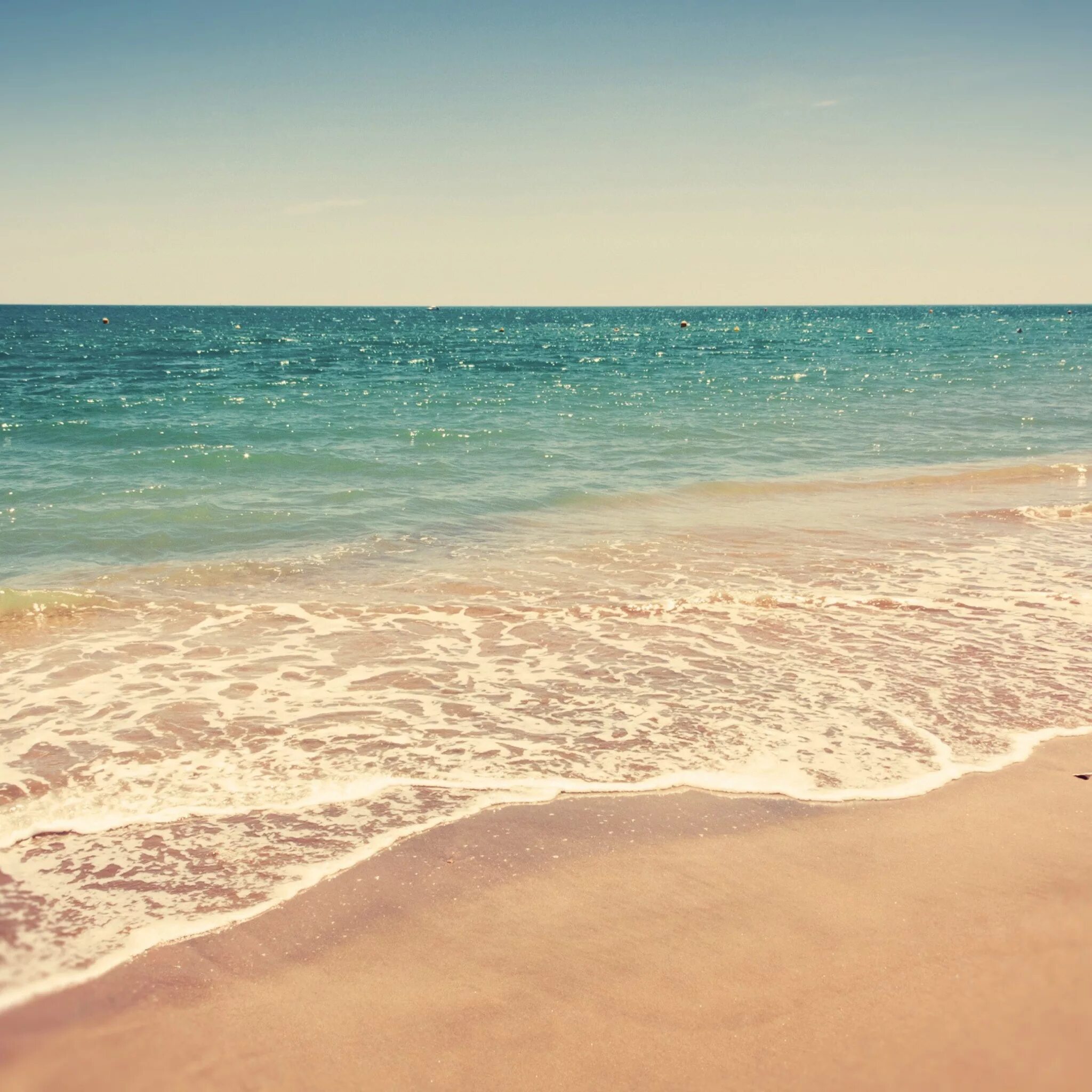 Beach clean. Море солнце песок. Море песок. Море пляж. Лето море.
