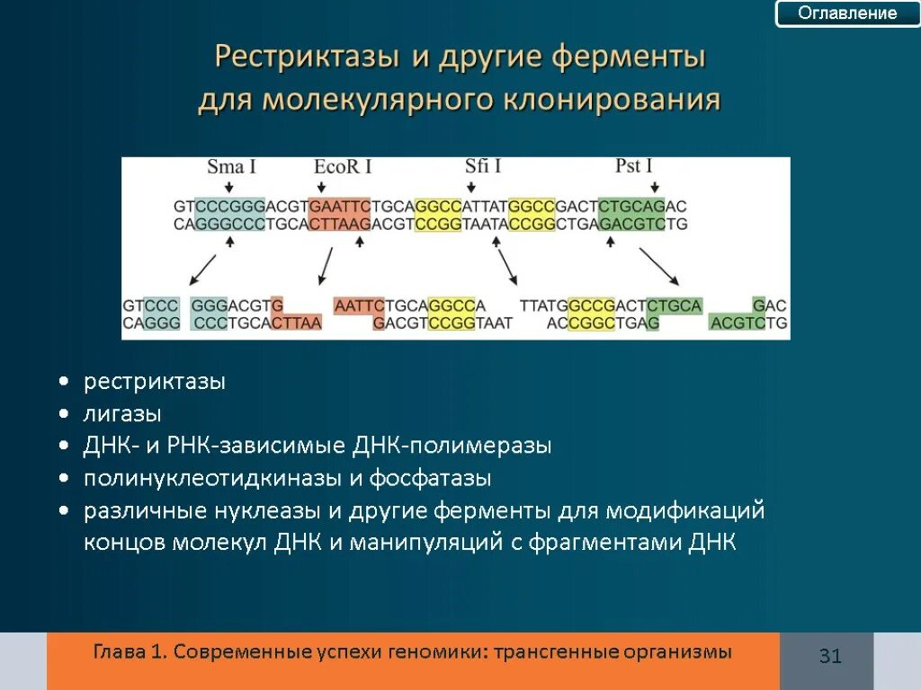 Система рестрикции модификации бактерий. Ферменты рестрикции. ферменты рестрикции днк. ферменты для молекулярного клонирования. полинуклеотидкиназы.
