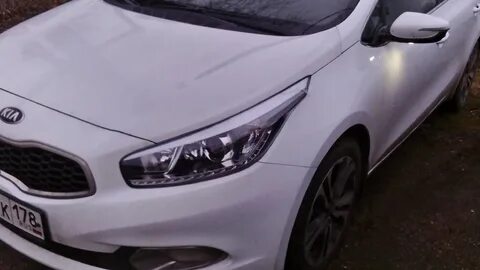 Реснички сид