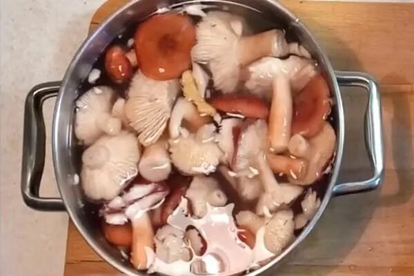 Что можно сделать сыроежками грибами на зиму. Замоченные грибы. как можно засолить сыроежки. засолка сыроежек горячим способом в банках.