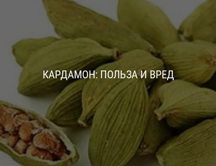 Сколько добавлять кардамона