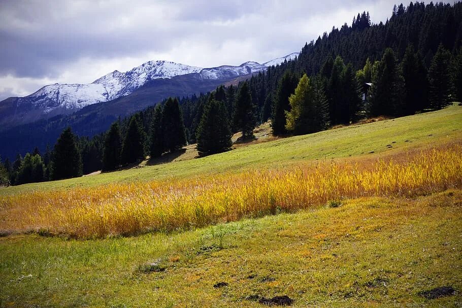 Земля спокойных. Осень в Швейцарии. Альпийский луг. Осень в горах Альпы. Горы луг осень.