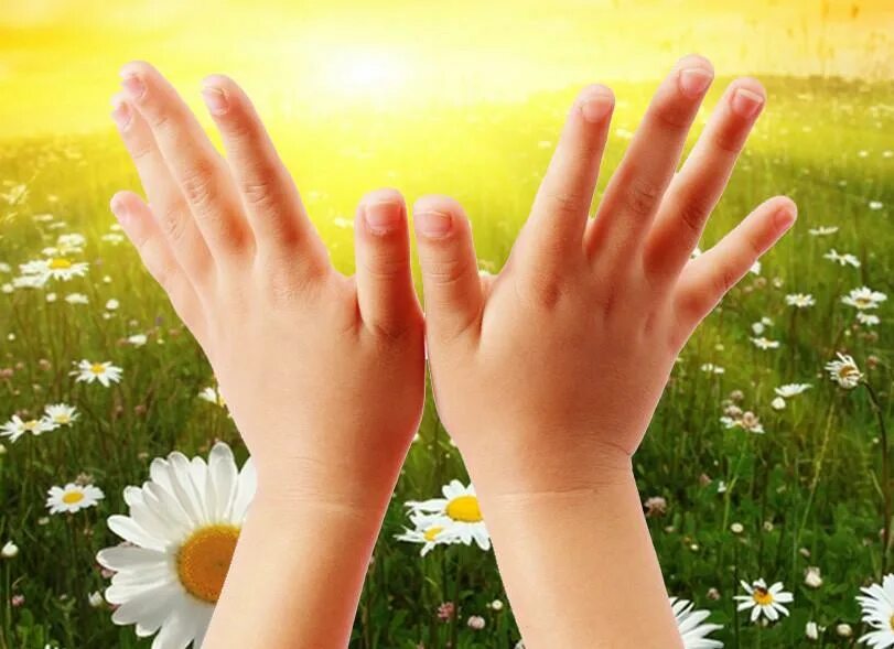 пикник с семьей на природе. пальчики поле. пять ладонь. пальчики поле. самые красивые женские руки.