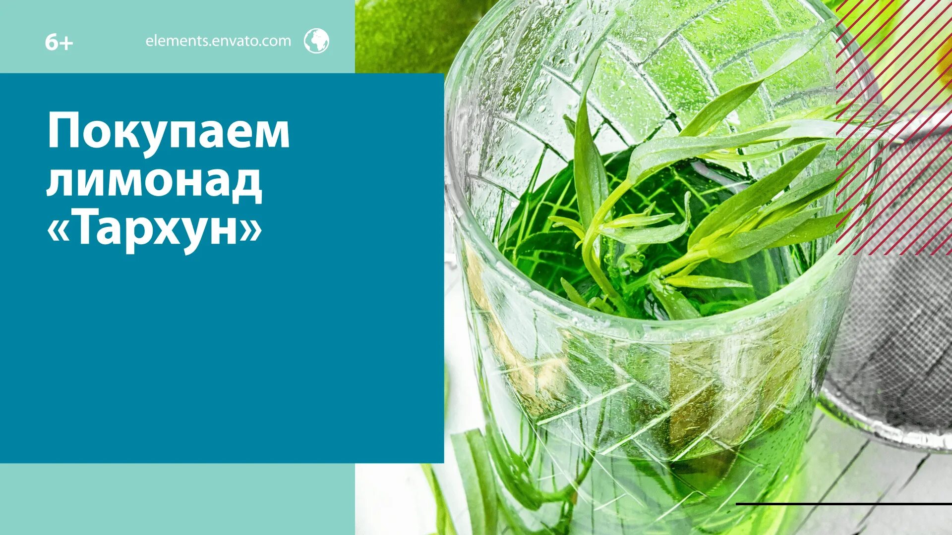 Тархун эстрагон куст. Тархун польза для женщин. Тархун и фенхель. Тархун польза для женщин. Тархун растение.
