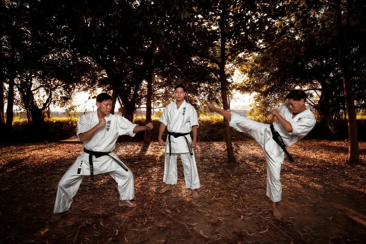 Телефон карате. Япония каратэ киокушинкай. Карате боевые искусства Японии. Киокусинкай каратэ японцы. Японский спорт каратэ.