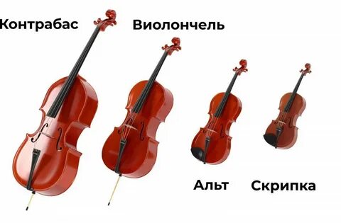 Скрипки альты струнные инструменты