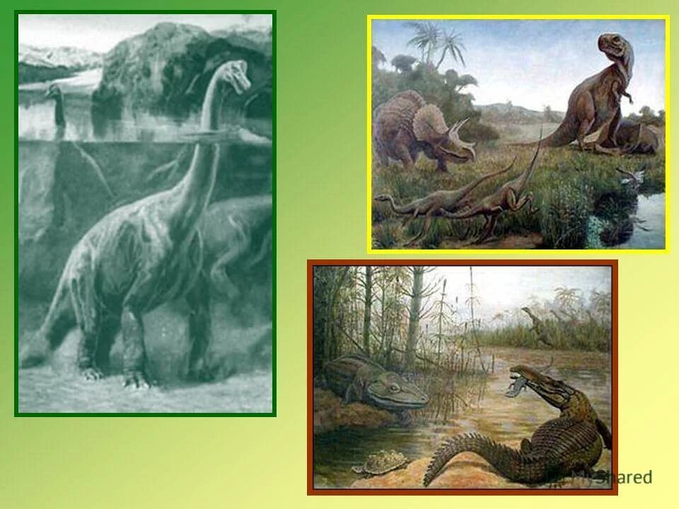 Динозавры назад в прошлое. Когда жили динозавры. Динозавры хищники презентация. Гибель динозавров.