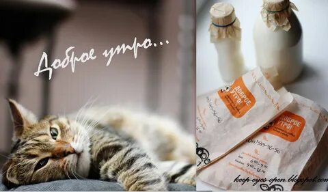 Доброе утро котята с надписями
