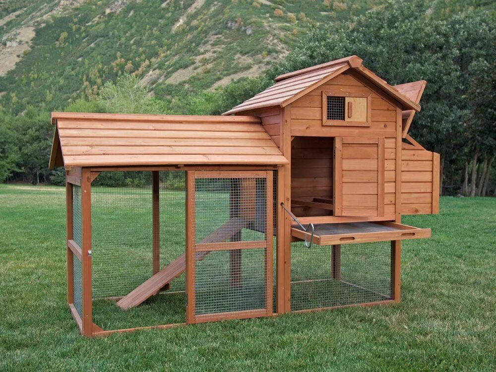Мини курятник на 30 кур. Henhouse. Курятник 24. Курятник для бройлеров для 30 кур. 5 на 2.