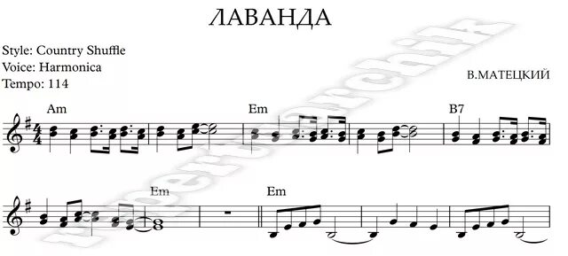 Белые розы табы. Белые розы табы