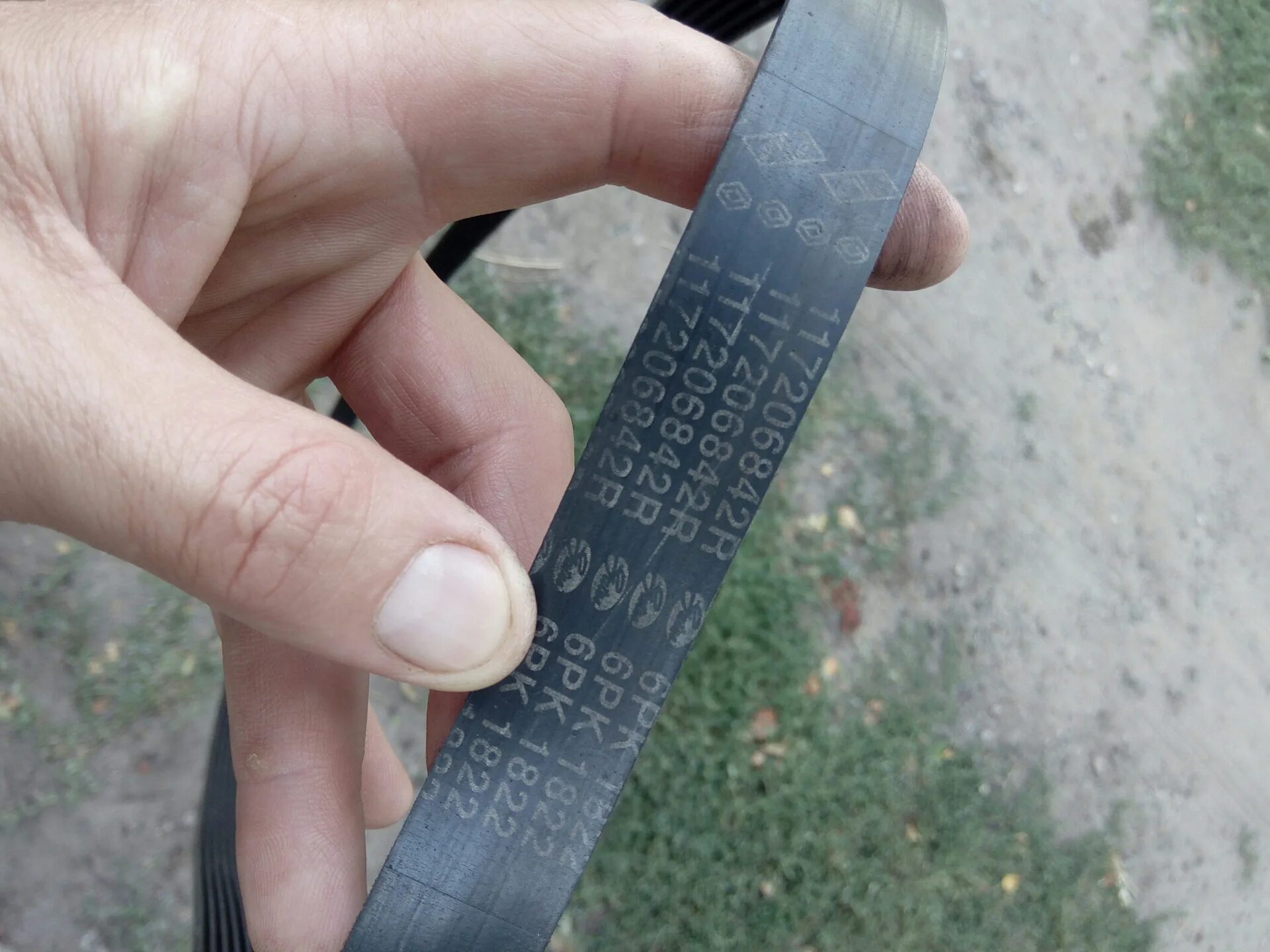 117206842r