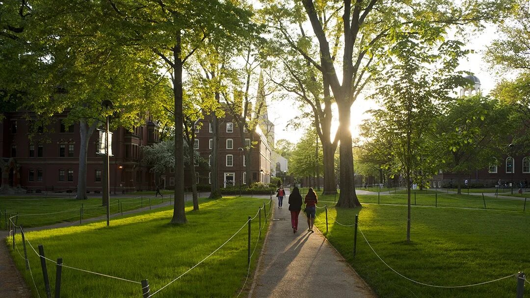 Кампус Гарварда. Гарвардский университет США. Гарвардский университет кампус. Кампус Гарварда в Кембридже.