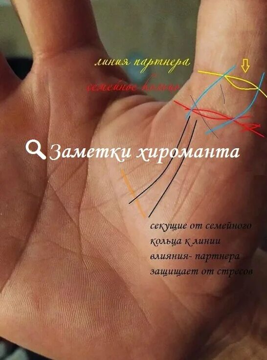 Линия любви на руке расшифровка: найдено 89 изображений