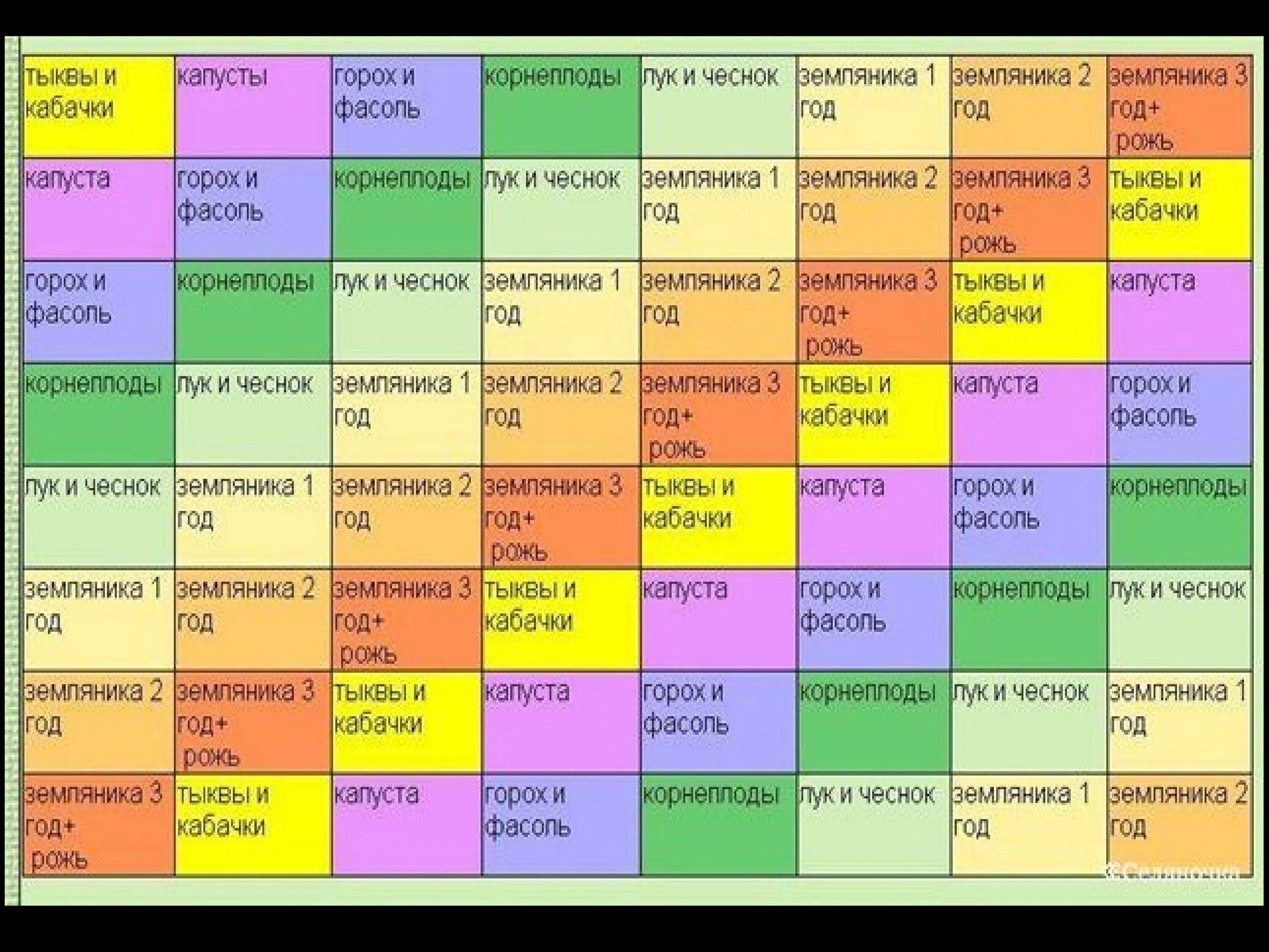 Схема севооборота овощных культур. Таблица севооборота овощных культур. Таблица севооборота клубника. Таблица севооборота овощных культур на огороде.
