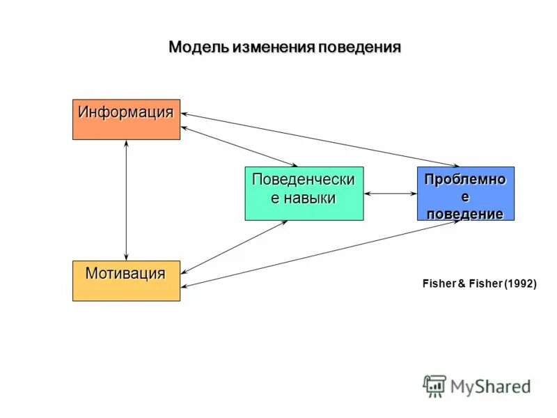 Модель поведения субъектов