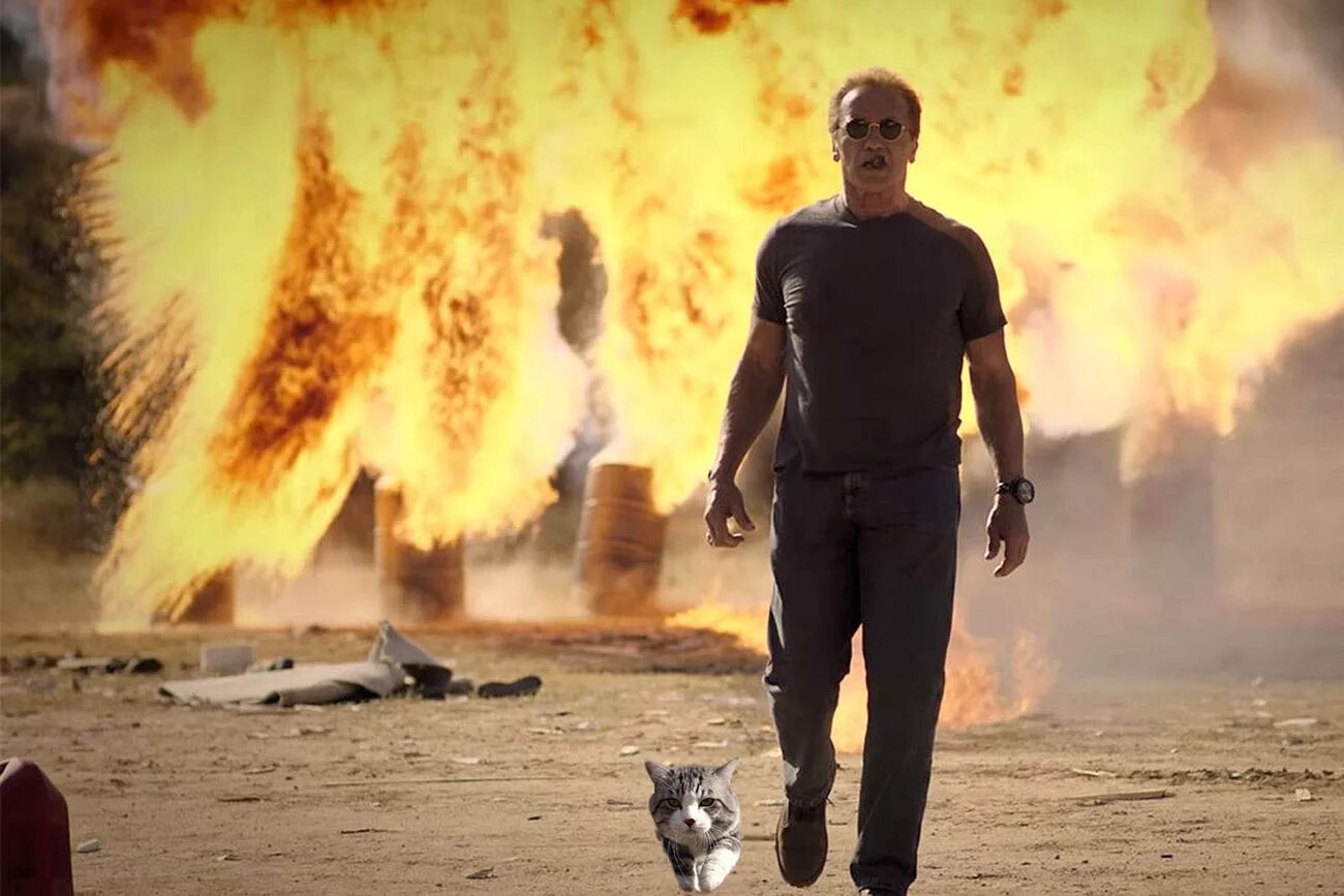 Профессия каскадер. Как называется человек который взрывает. Не оборачиваетс яна взярыв. Как называется человек который взрывает. Как называется человек который взрывает.