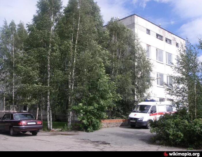 больница город тосно центральная районная. боярова 21 тосно поликлиника. роддом в тосно ленинградской области. улица боярова в тосно. боярова 21 тосно поликлиника.