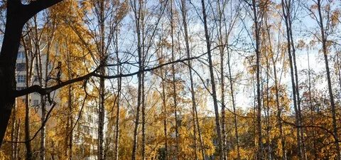Середина сентября