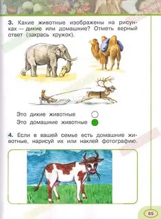 Рт окружающий мир 1 класс