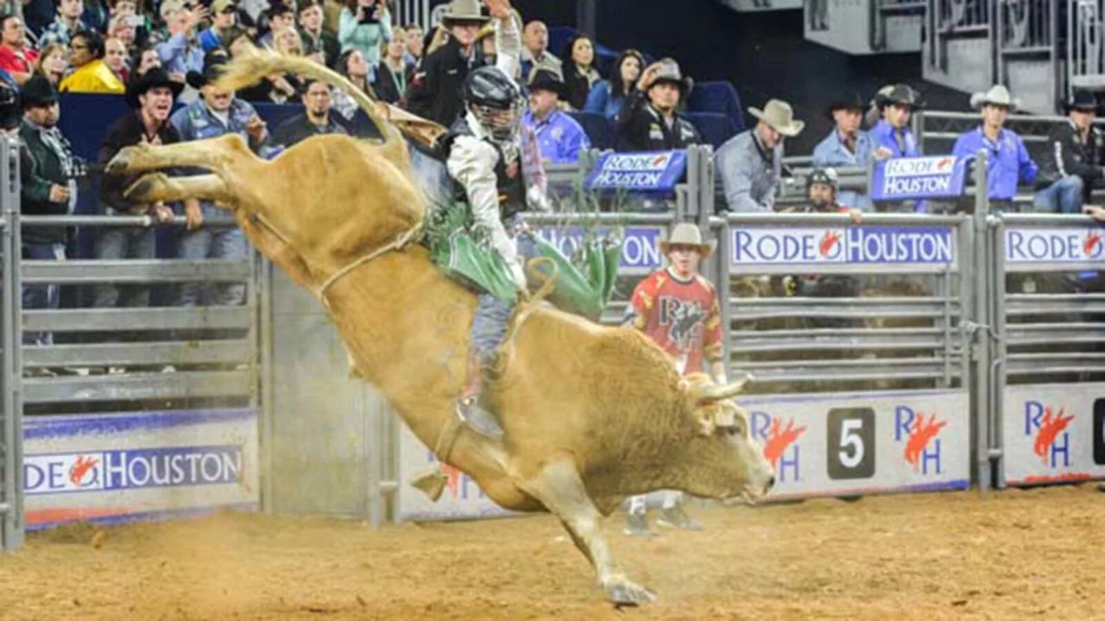 The rodeo is a really exciting event. Родео в Хьюстоне. Парад родео Хьюстон. Rodeo Houston фестиваль. Houston Livestock show and Rodeo фестиваль.