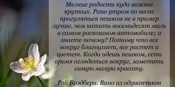 Апрель цитаты из книг. Вино из одуванчиков цитаты. цитаты из книги вино из одуванчиков. мелкие радости куда важнее.