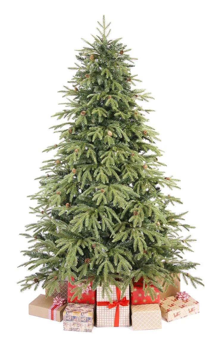 Ель с тонкими ветками. Есльевропейская шишка. Декоративная серебристая елка искусственная. Пихта сибирская хвоинки. Карпатская ёлка 210.