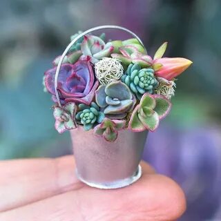 Tiny plants